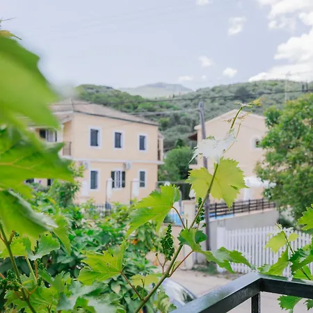 Vine House * Kassiopi