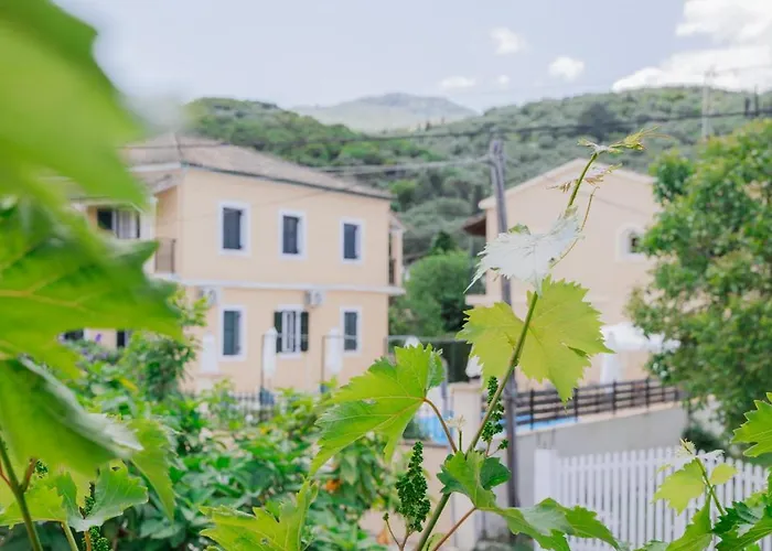 Vine House * Kassiopi